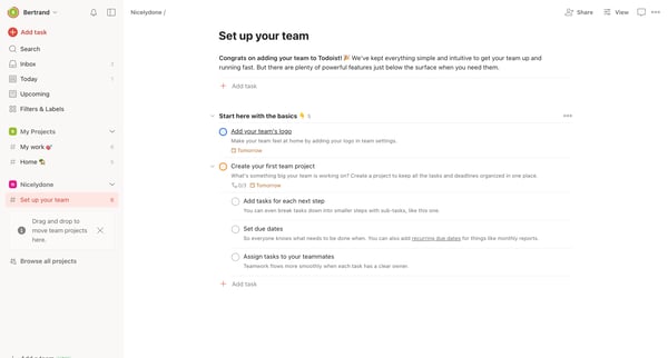 Set up your team – Todoist screen