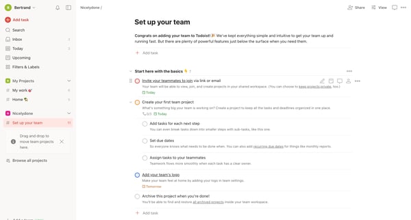 Set up your team – Todoist screen