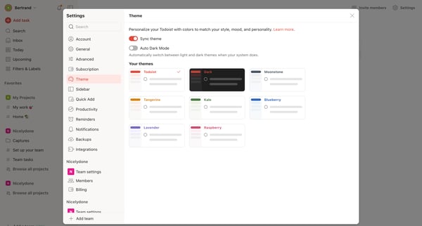 Theme – Settings – Todoist screen