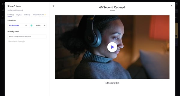 Demo Project - Frame.io screen
