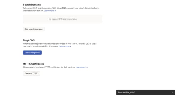 DNS - Tailscale screen