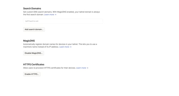 DNS - Tailscale screen