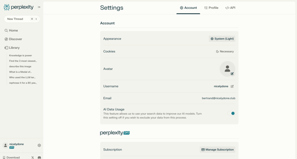 Perplexity screen