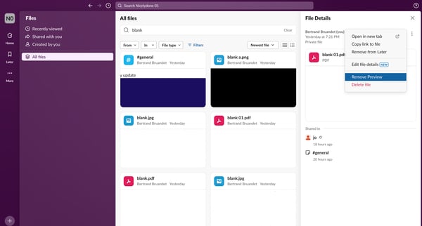 Files - Nicelydone 01 - Slack from Slack
