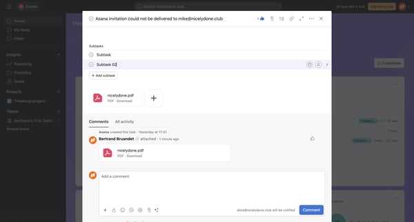 Home - Asana invitation could not be delivered to mike@nicelydone screen