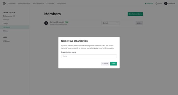 Members - OpenAI API screen