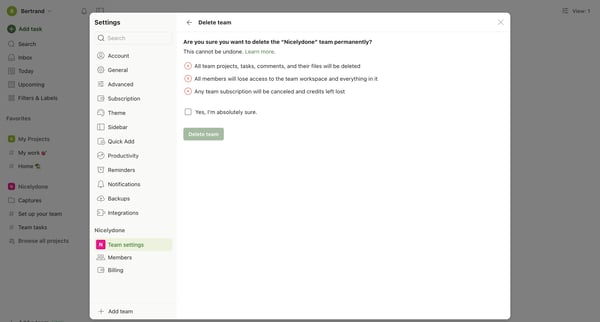 Delete team – Settings – Todoist from Todoist