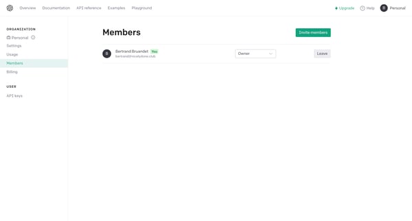 Members - OpenAI API screen