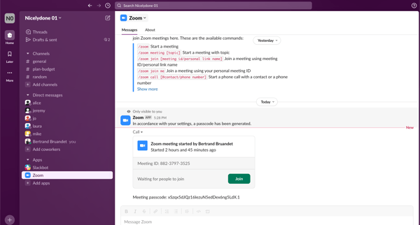 Zoom DM - Nicelydone 01 - Slack from Slack