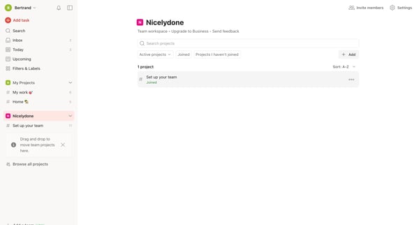Nicelydone – Todoist screen