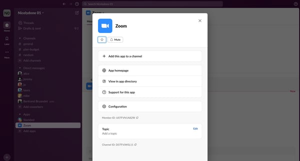Zoom DM - Nicelydone 01 - Slack screen