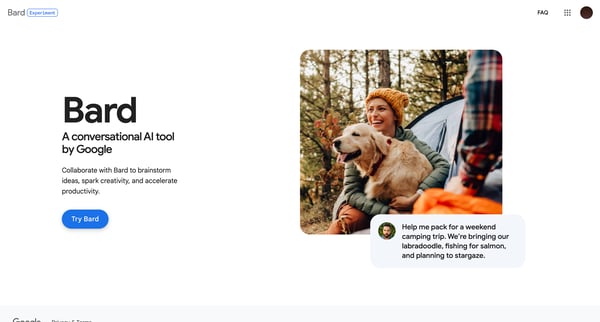Bard - Chat Based AI Tool from Google, Powered by PaLM 2 screen