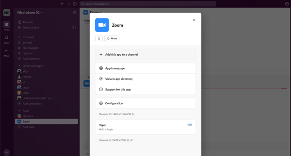 Zoom DM - Nicelydone 01 - Slack screen