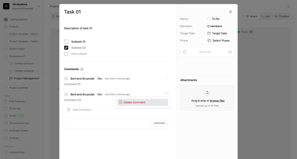 Project Management | Programa screen