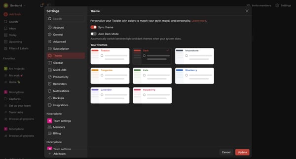 Theme – Settings – Todoist screen