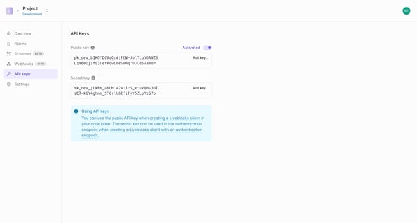 Project Development | API Keys screen