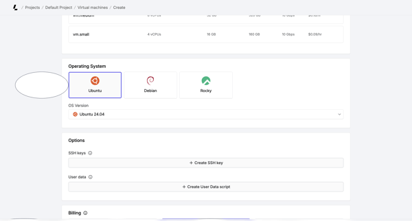 Create virtual machines – Dashboard - Latitude.sh screen