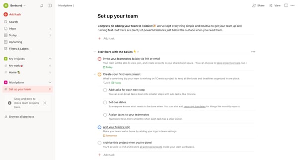Set up your team – Todoist screen