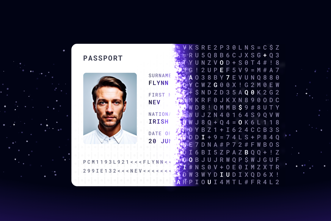 Evervault
				illustration ui component