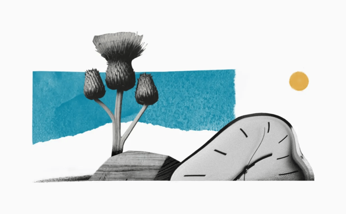 Twist
				illustration ui component