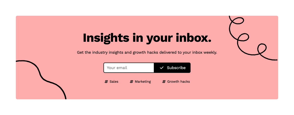 Wiza
				newsletter signup form ui component