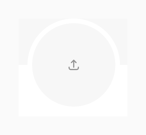 Mirror
				file upload input ui component