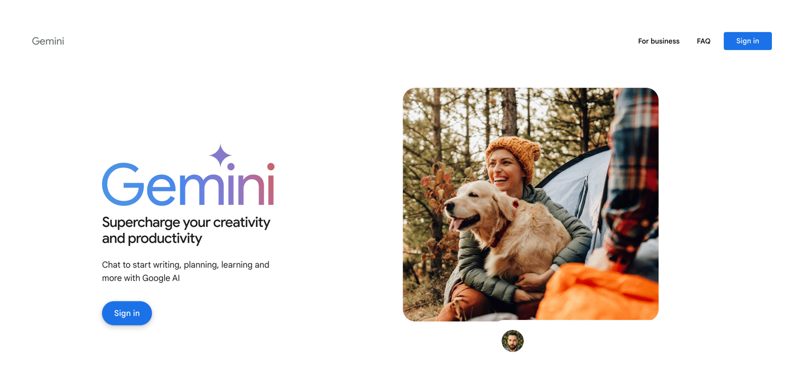 Gemini — Hero section component