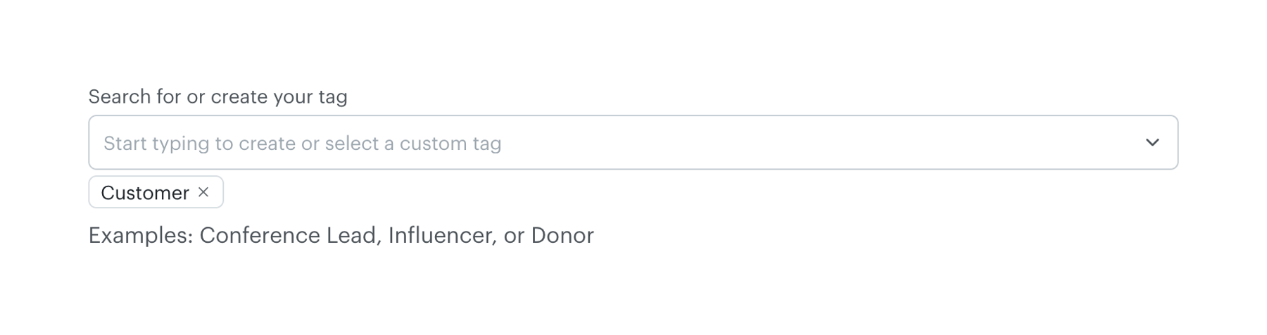 Mailchimp — Input tag component