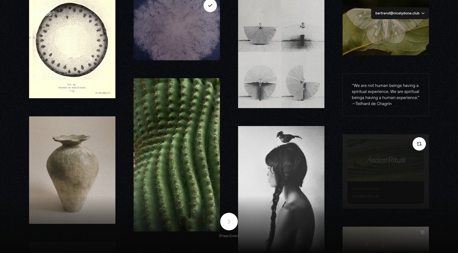 Cosmos
			   ux ui design