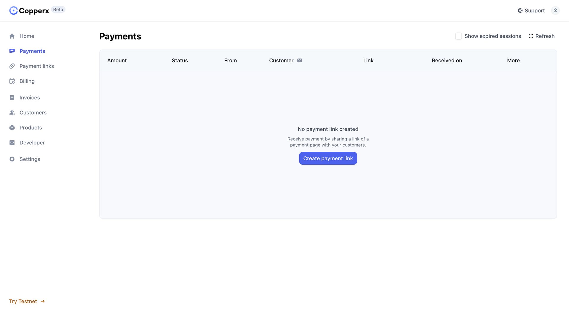 Copperx
			       ux ui design