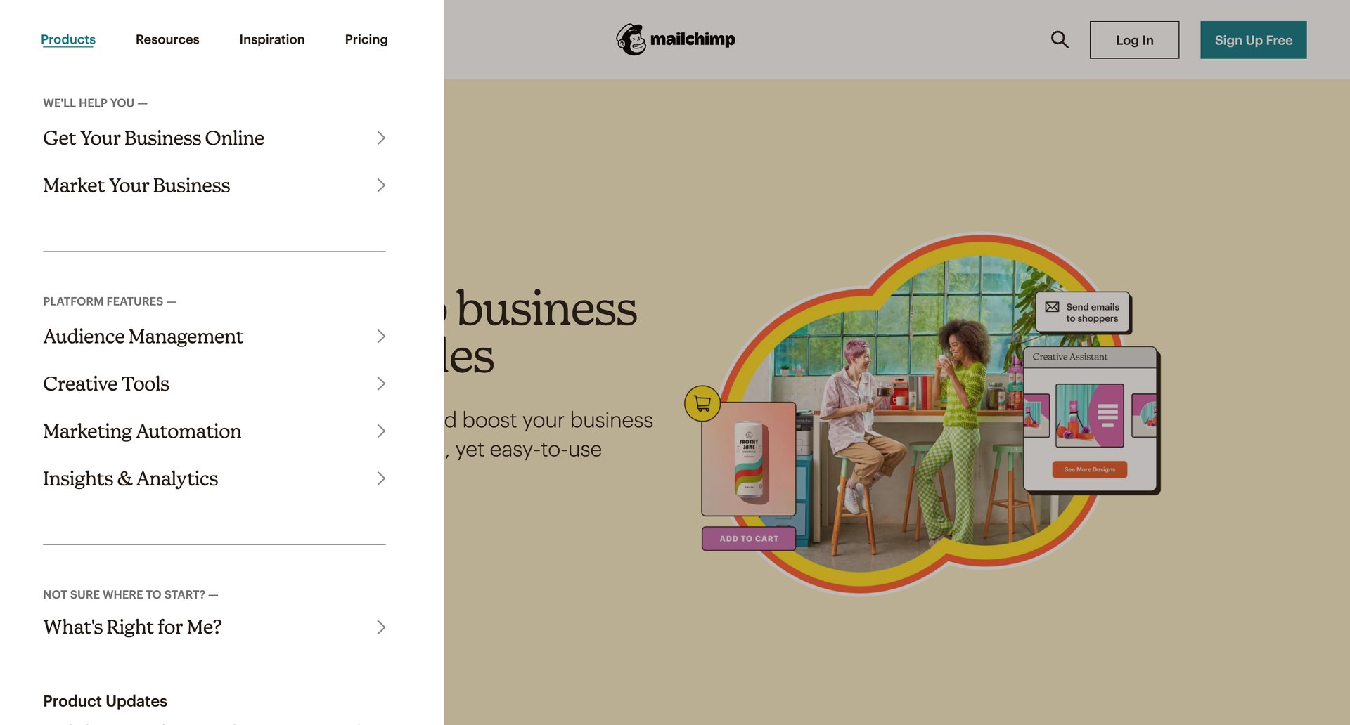 Mailchimp
			      ux ui design