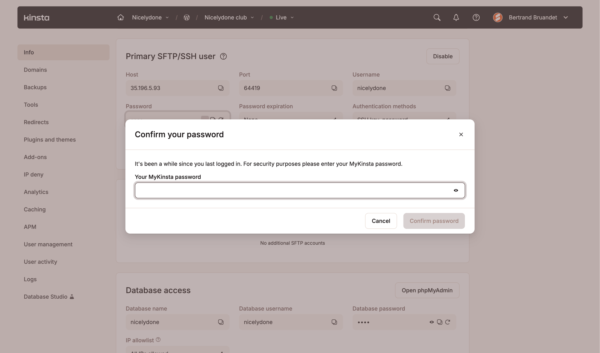 Kinsta screen example