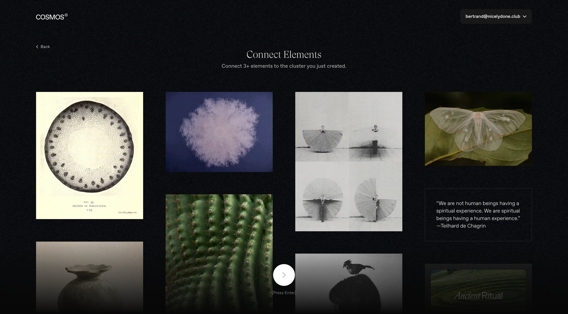 Cosmos
			     ux ui design