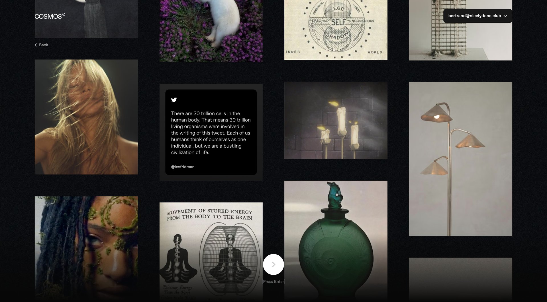 Cosmos
			    ux ui design