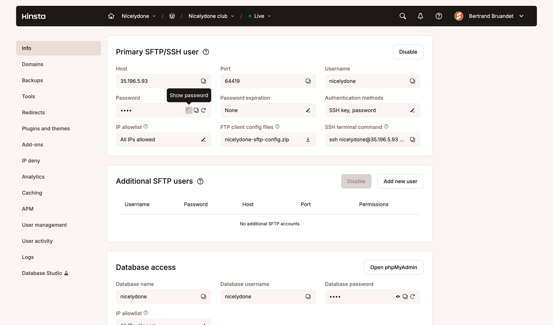 Kinsta screen example
