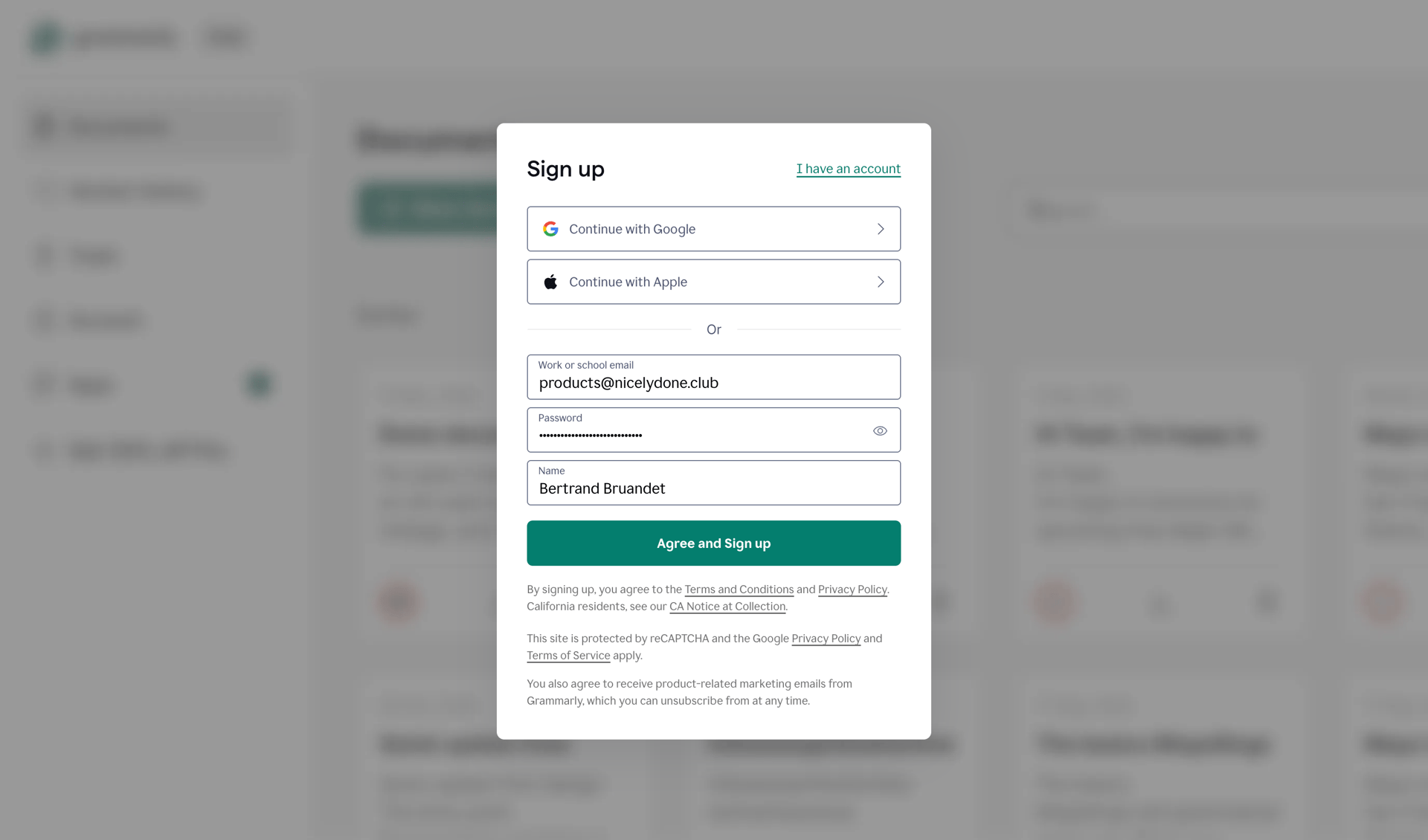 Grammarly screen example