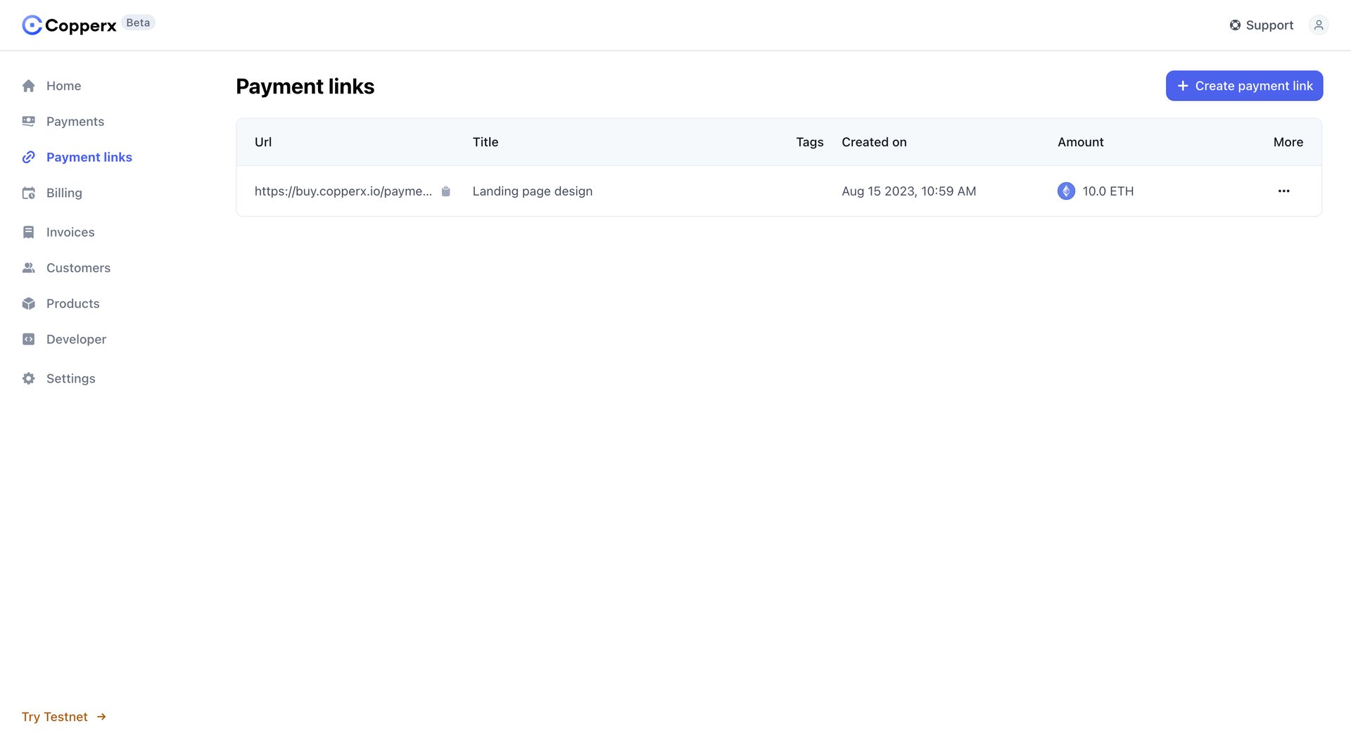 Copperx
			     ux ui design