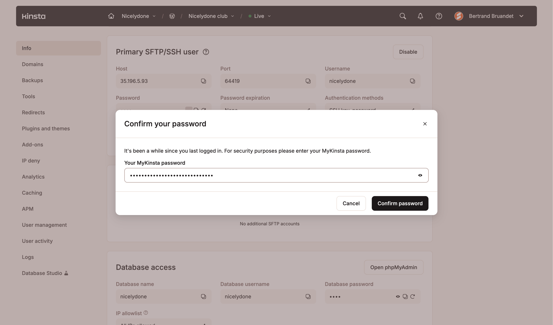 Kinsta screen example