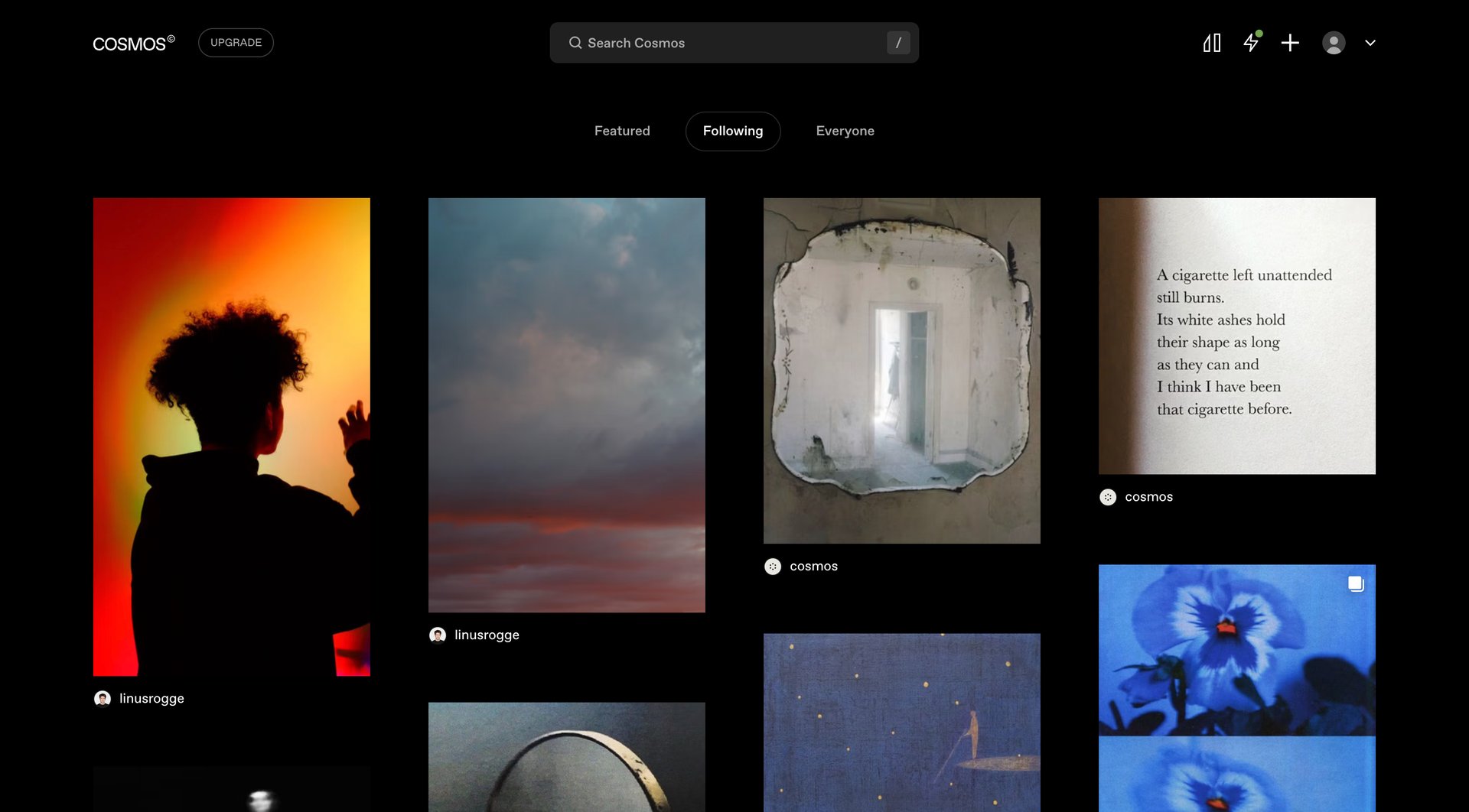 Cosmos
			          ux ui design