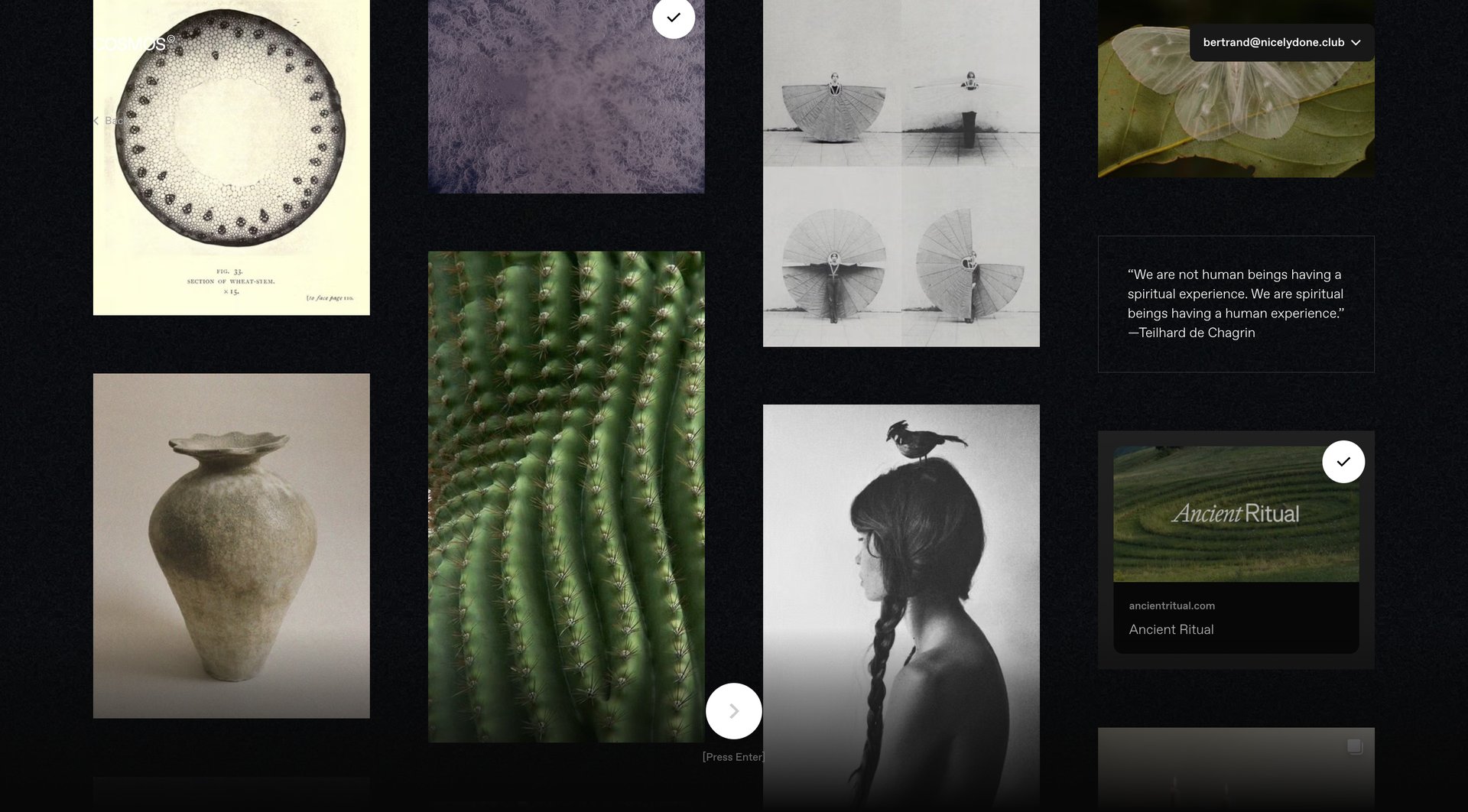 Cosmos
			    ux ui design