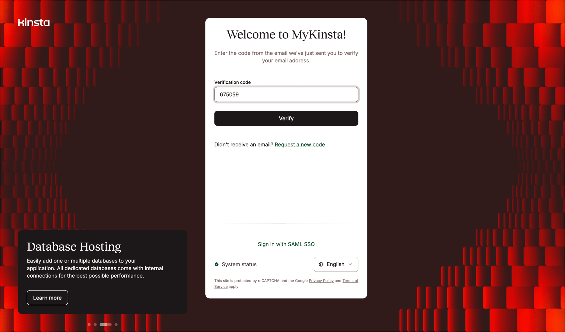 Kinsta screen example