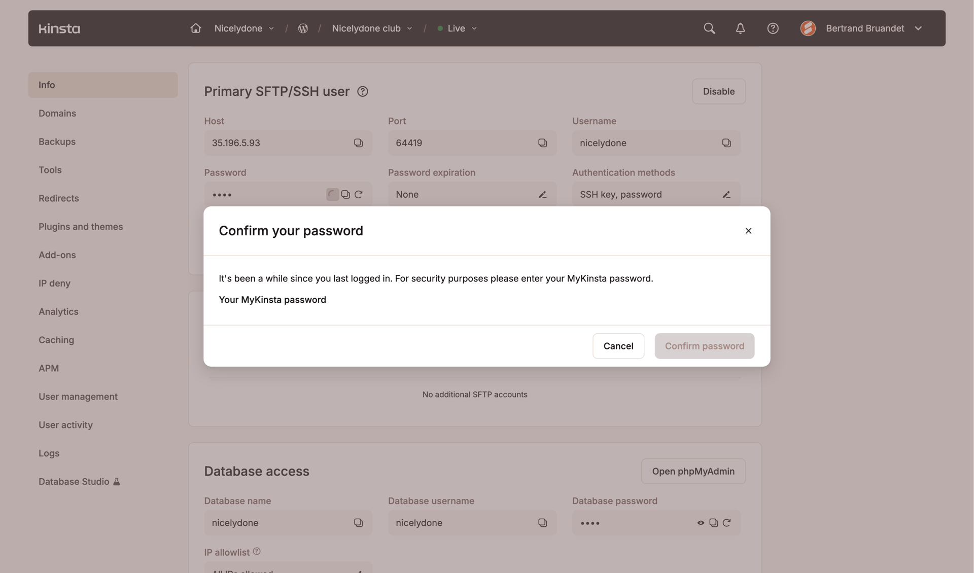 Kinsta screen example