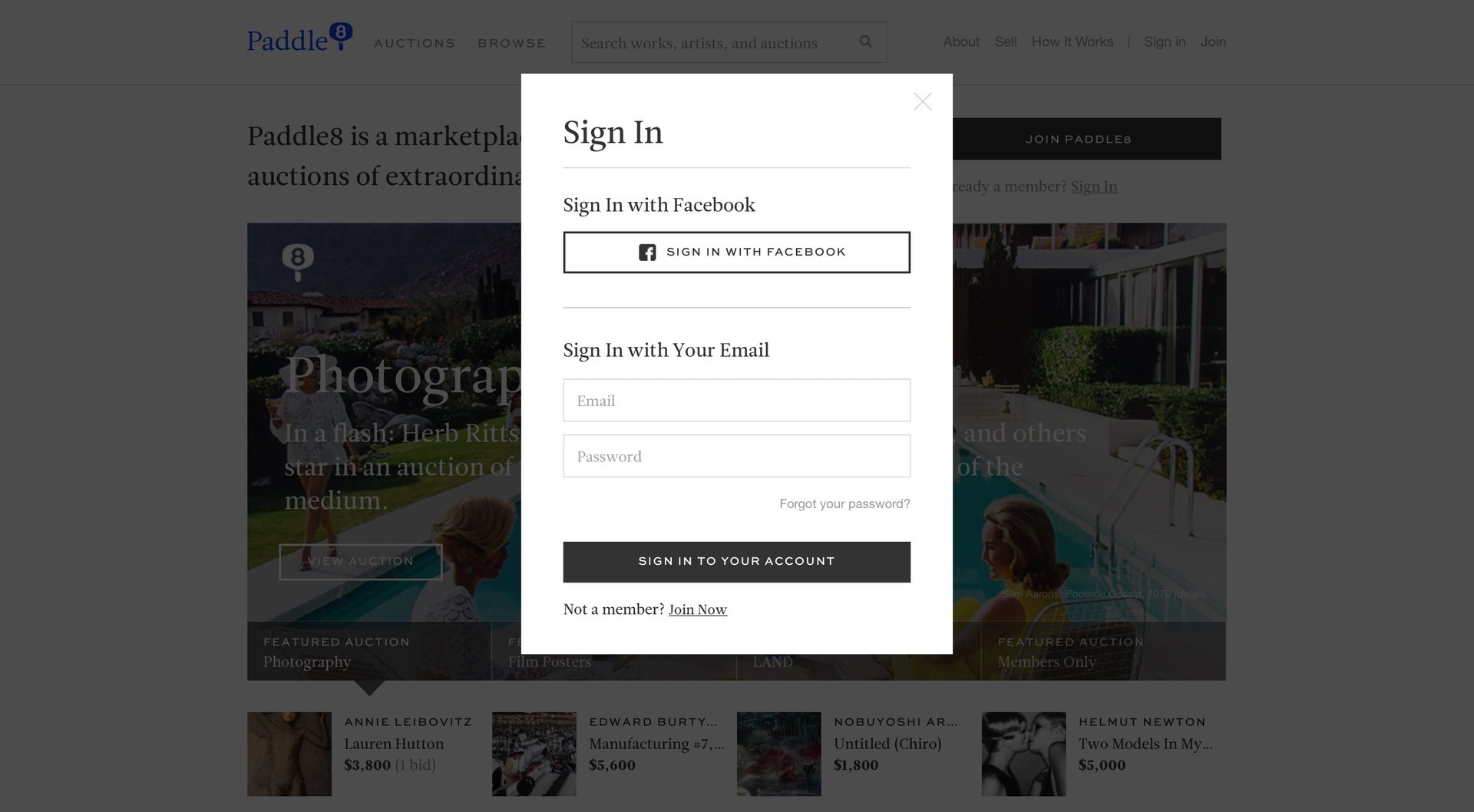 Paddle8
				signin page example