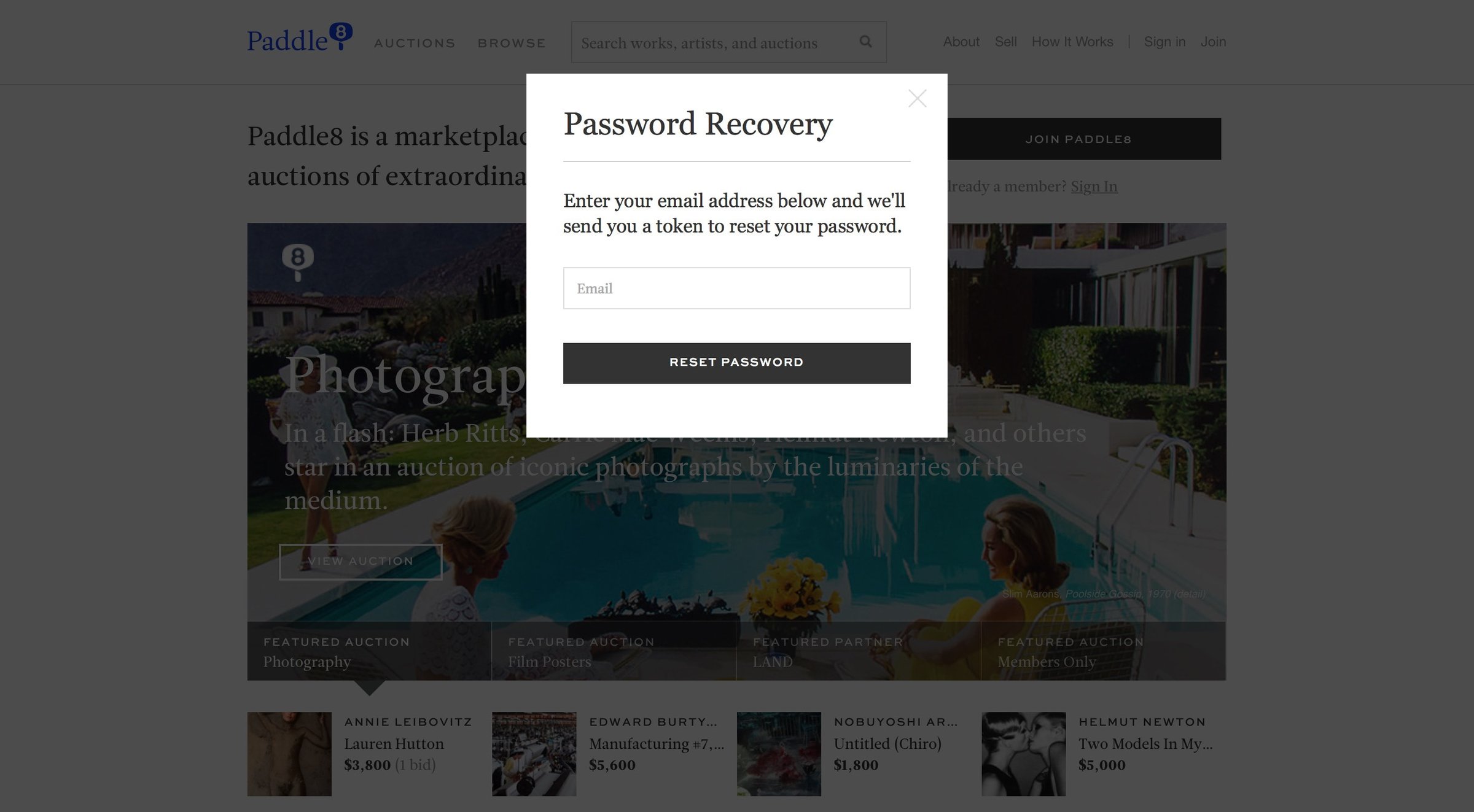 Paddle8 - Password reset screen