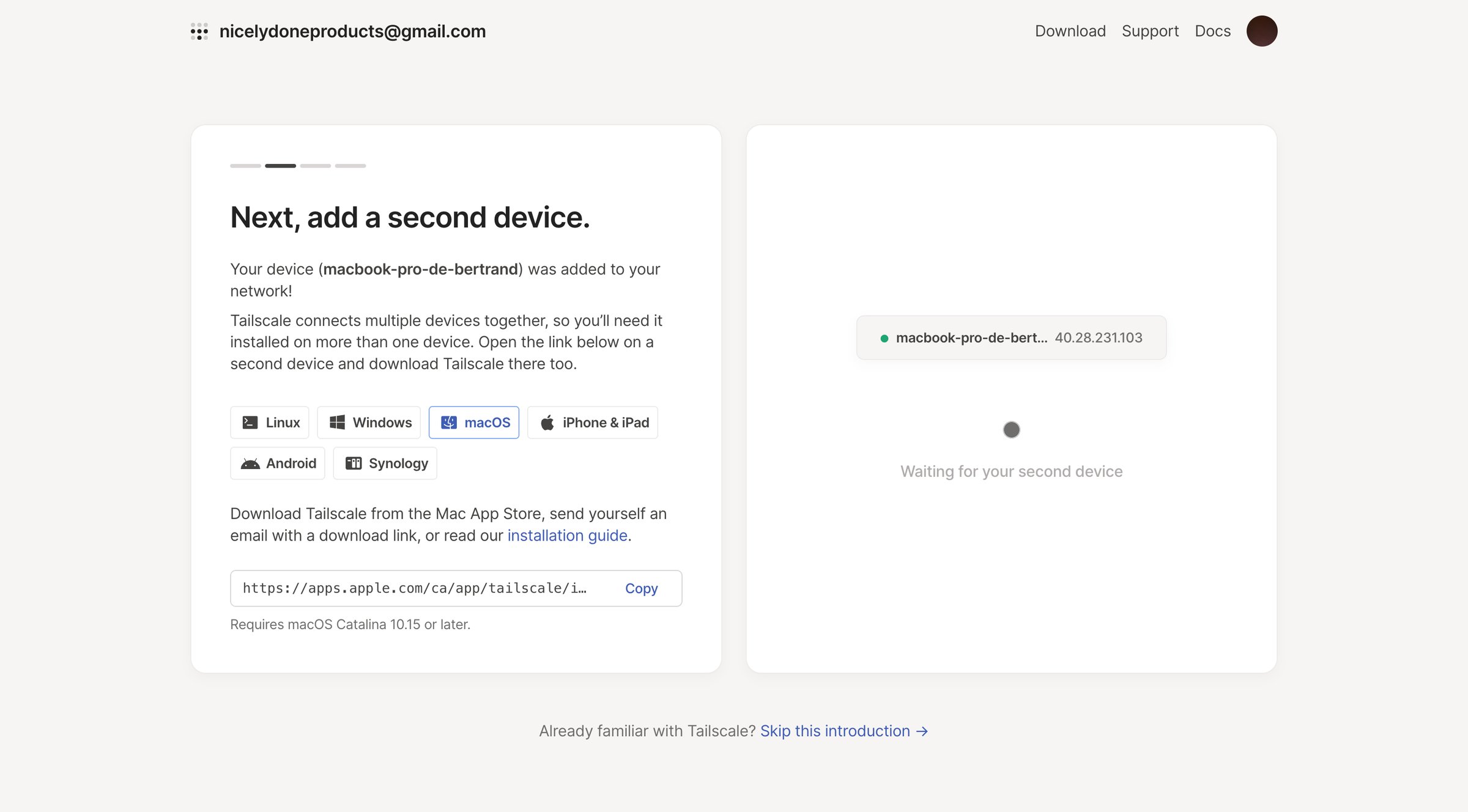 Tailscale screen