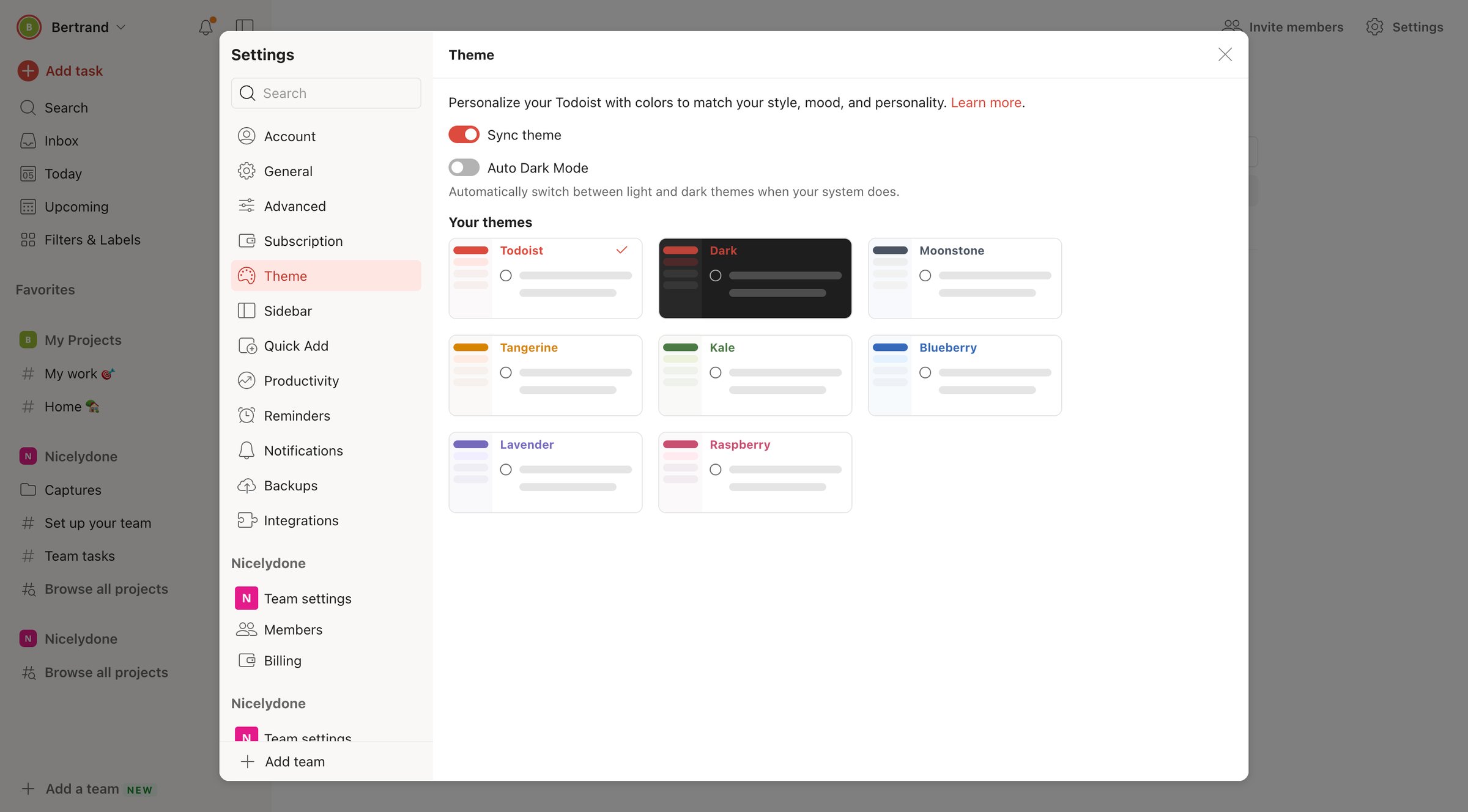 Todoist - Theme – Settings – Todoist screen