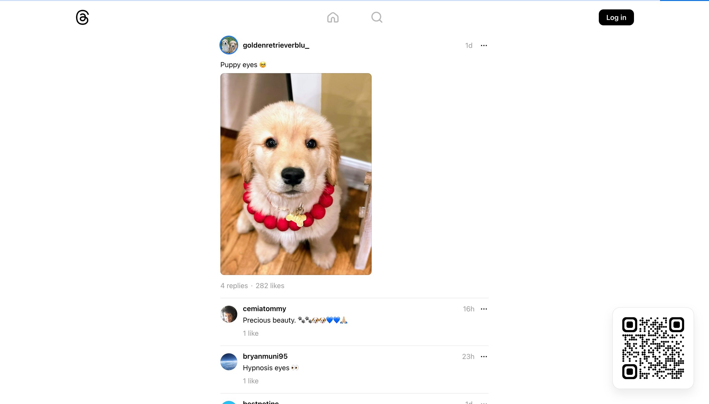 Threads - @goldenretrieverblu_ • Puppy eyes | • Threads screen