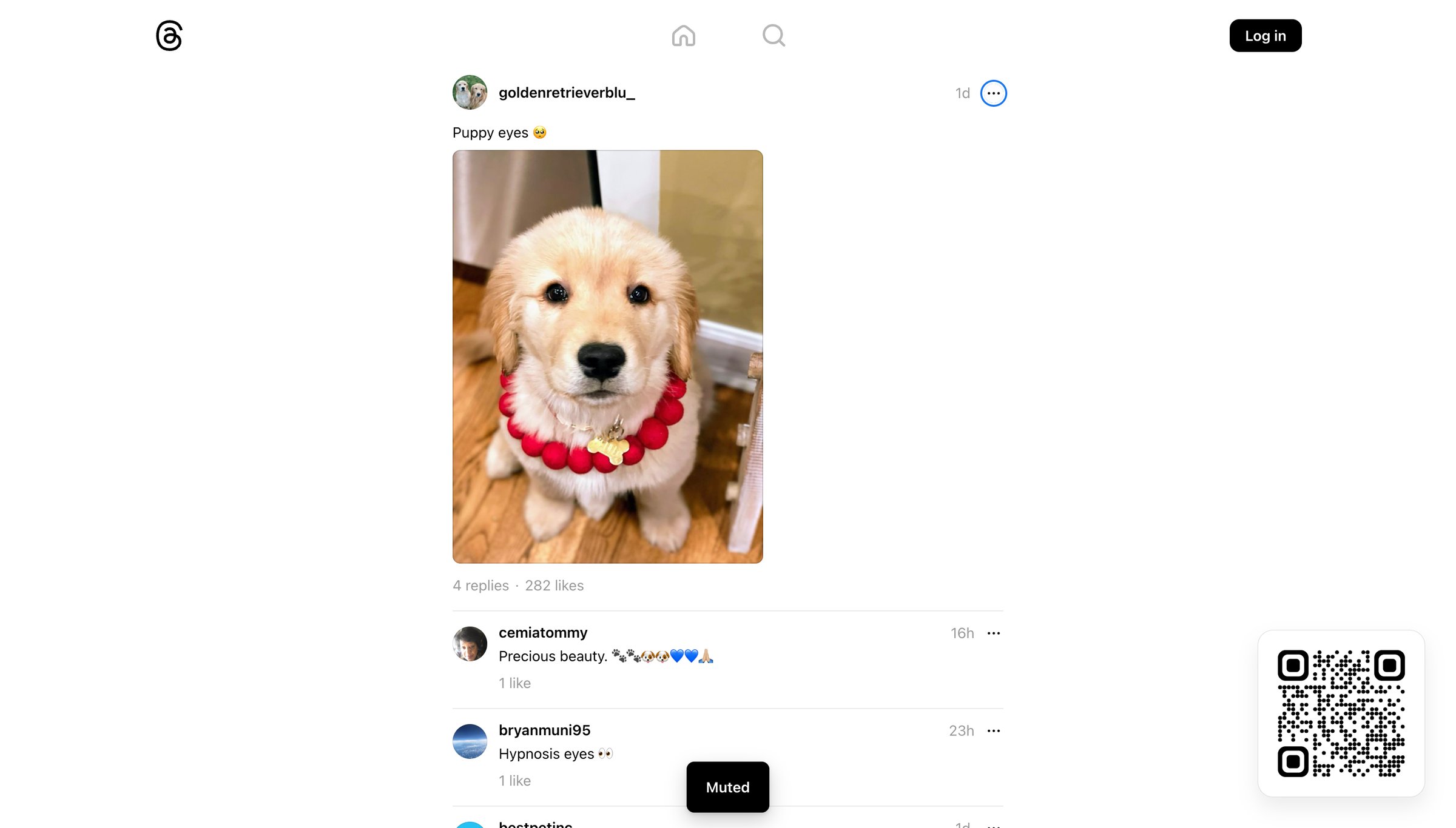 Threads - @goldenretrieverblu_ • Puppy eyes | • Threads screen