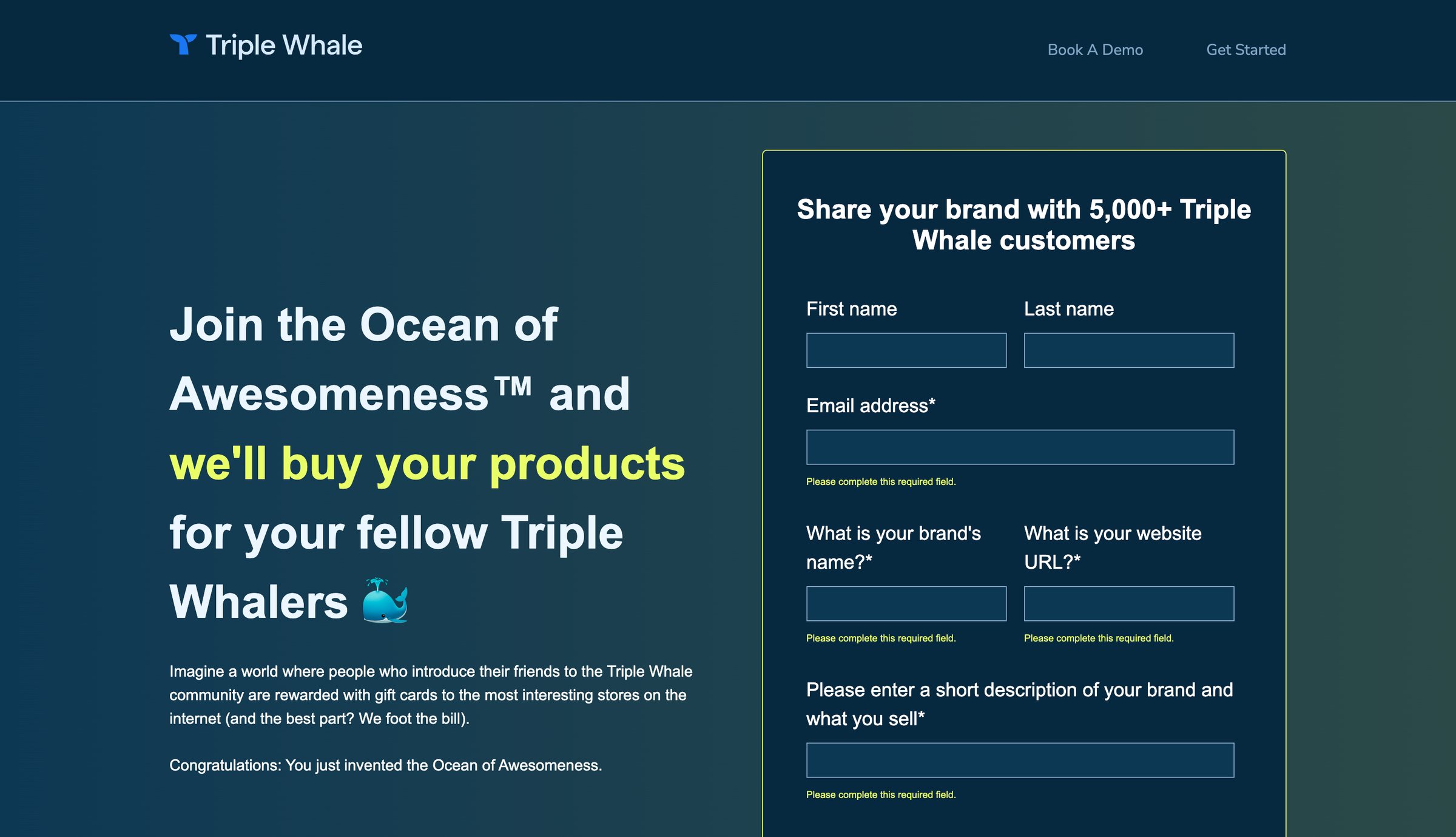 Triple Whale - Ocean of Awesomeness | Triple Whale screen