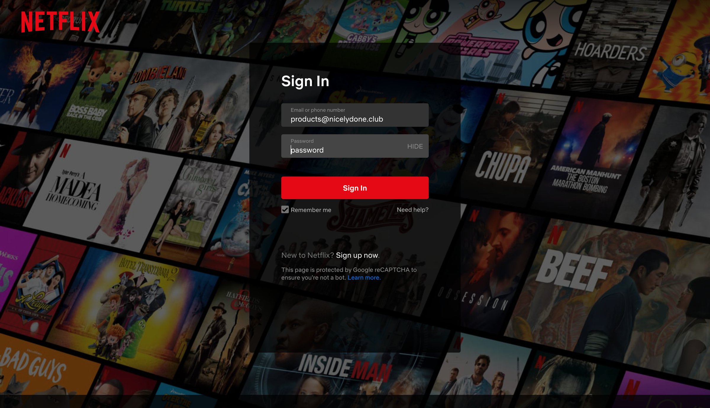 Netflix screen